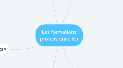 Mind Map: Les formations professionnelles