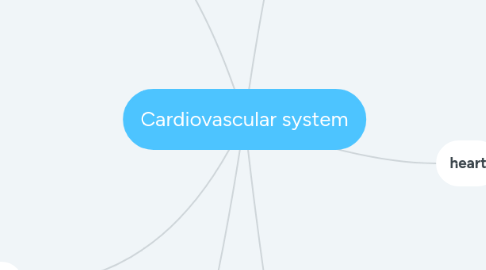 Mind Map: Cardiovascular system