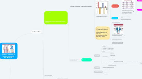 Mind Map: CAVIDADES CORPORALES Y SU COMPOSICIÓN DE ELECTRÓLITOS