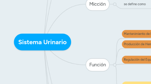 Mind Map: Sistema Urinario