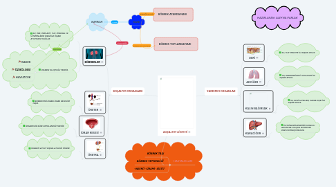 Mind Map: BOŞALTIM SİSTEMİ