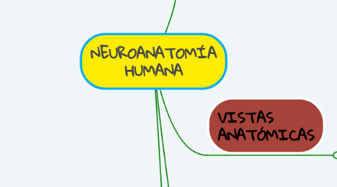 Mind Map: NEUROANATOMÍA HUMANA