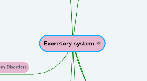 Mind Map: Excretory system