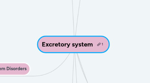 Mind Map: Excretory system