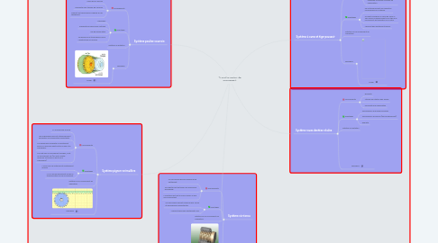 Mind Map: Transformation de mouvement