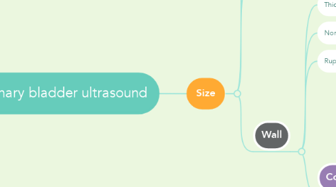 Mind Map: Urinary bladder ultrasound