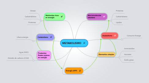 Mind Map: METABOLISMO