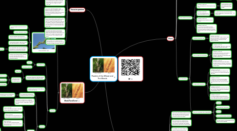 Mind Map: Parable of the Wheat and The Weeds