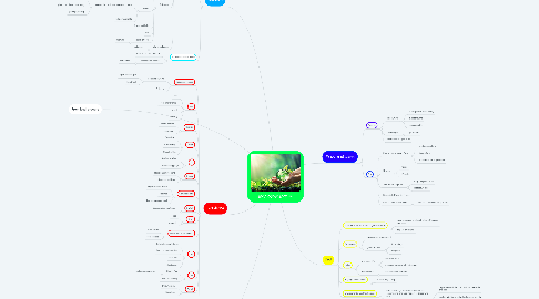 ENVIRONMENT | MindMeister Mind Map