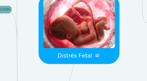 Mind Map: Distrés Fetal