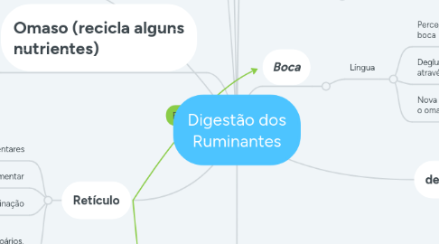 Mind Map: Digestão dos Ruminantes