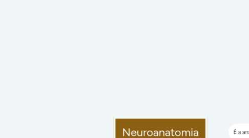 Mind Map: Neuroanatomia