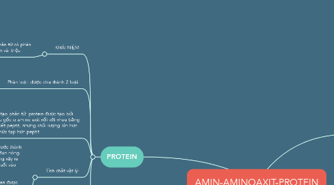 Mind Map: AMIN-AMINOAXIT-PROTEIN