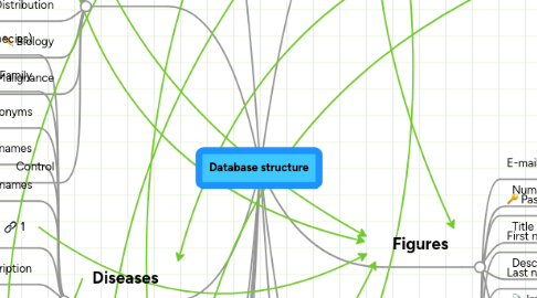 Mind Map: Database structure