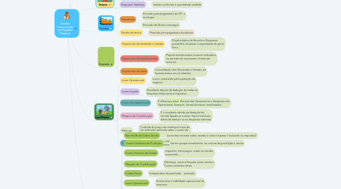 Mind Map: Gestão Financeira de um Pequeno Negócio