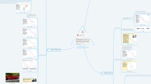 Mind Map: C H A P T E R  3: Consumer Behavior