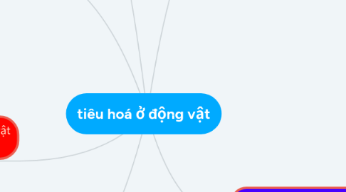 Mind Map: tiêu hoá ở động vật