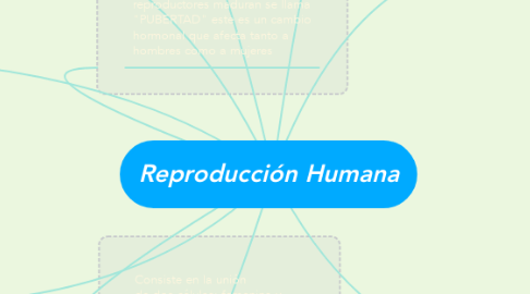 Mind Map: Reproducción Humana