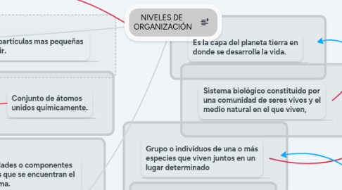 Mind Map: NIVELES DE  ORGANIZACIÓN