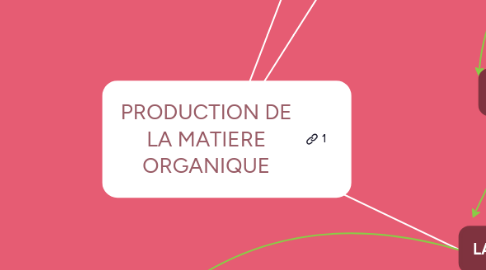 Mind Map: PRODUCTION DE LA MATIERE ORGANIQUE