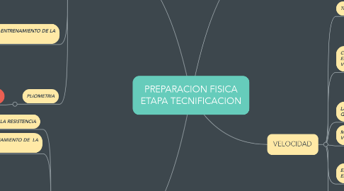 Mind Map: PREPARACION FISICA ETAPA TECNIFICACION