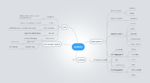 Mind Map: systems