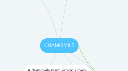 Mind Map: CHAMOMILE