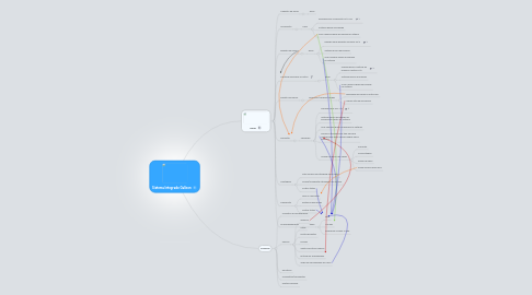 Mind Map: Sistema Integrado Galleon