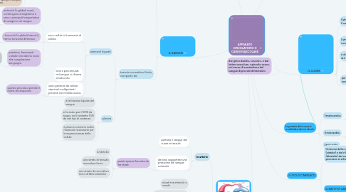 Mind Map: APPARATO CIRCOLATORIO O CARDIOVASCOLARE
