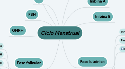 Mind Map: Ciclo Menstrual