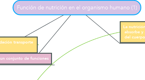 Mind Map: Función de nutrición en el organismo humano (1)