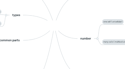Mind Map: CELLS