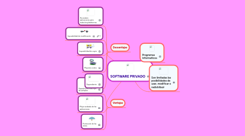 Mind Map: SOFTWARE PRIVADO