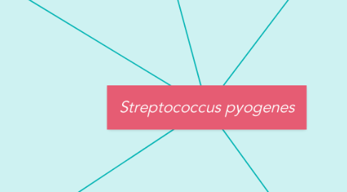 Mind Map: Streptococcus pyogenes