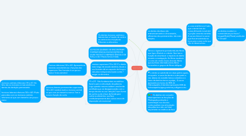 Mind Map: Anatomia dos dentes (Caninos e incisivos)