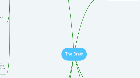 Mind Map: The Brain