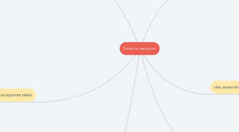Mind Map: Sistema sensorial