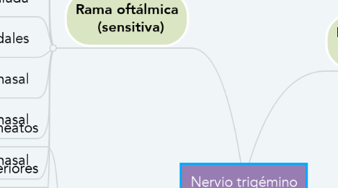 Mind Map: Nervio trigémino