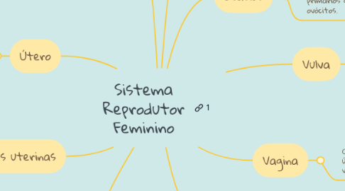 Mind Map: Sistema Reprodutor Feminino