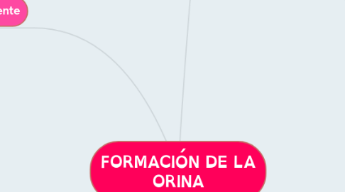 Mind Map: FORMACIÓN DE LA ORINA