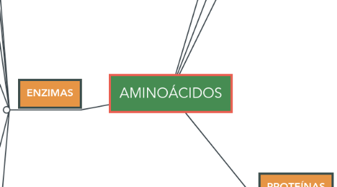 Mind Map: AMINOÁCIDOS