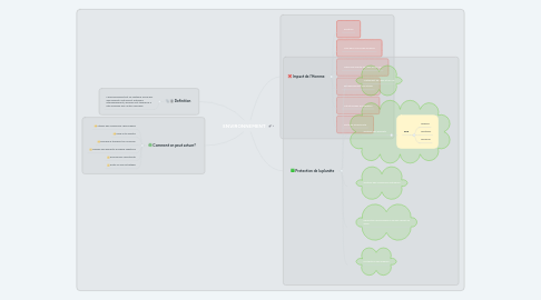 Mind Map: ENVIRONNEMENT