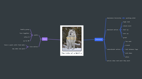 Mind Map: The Life of a Wolf