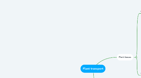 Mind Map: Plant transport