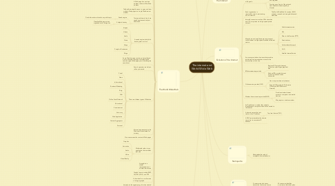 Mind Map: The internet and World Wide Web
