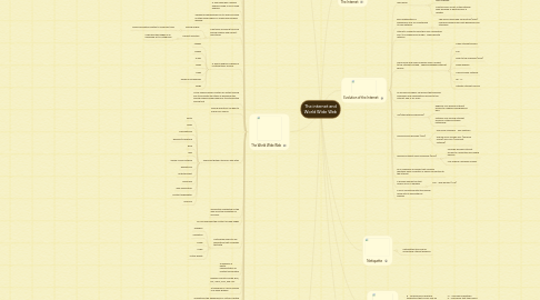 Mind Map: The internet and World Wide Web