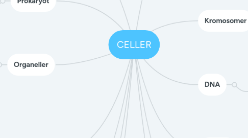 Mind Map: CELLER