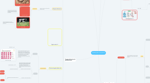 Mind Map: ANIMALIEN UGALKETA