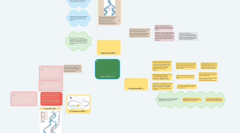 Mind Map: DNA E RNA