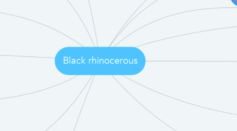 Mind Map: Black rhinocerous